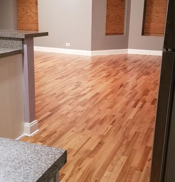 1st image of 4953 S Michigan Ave #14