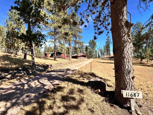 11687 W Paradise Dr, Hill City, SD 57745