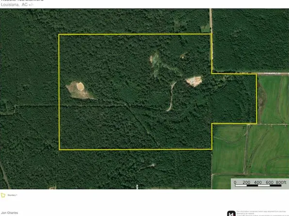 251 Crabapple Rd, Iota, LA 70543
