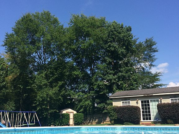 View while relaxing in pool!