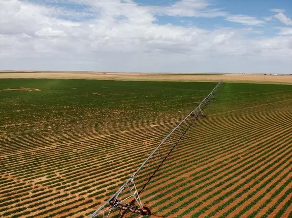 120 Cr, Plains, TX 79355