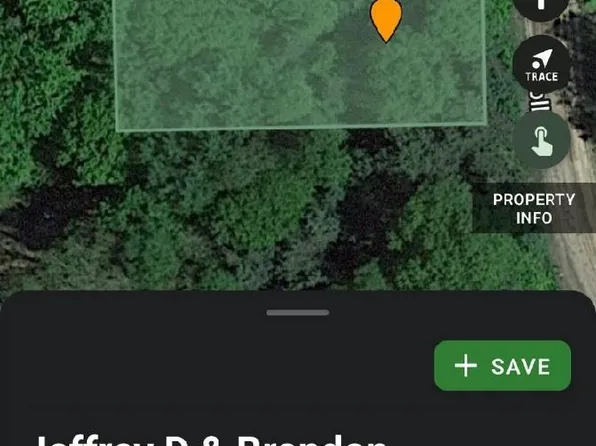 LOT 52 Holly St, Lake, MI 48632