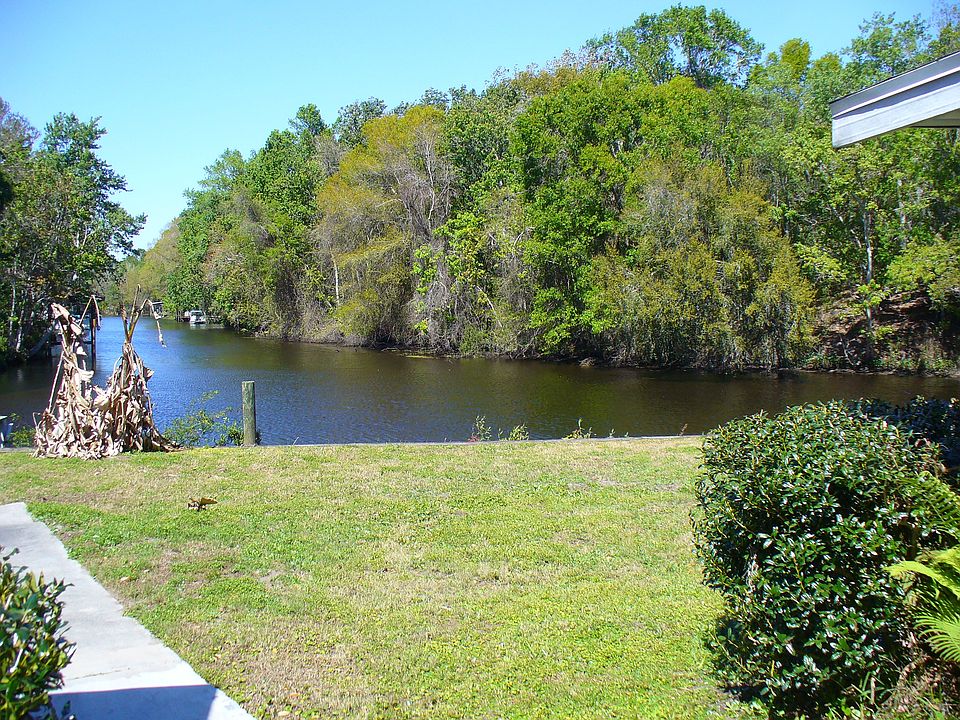 View from back yard