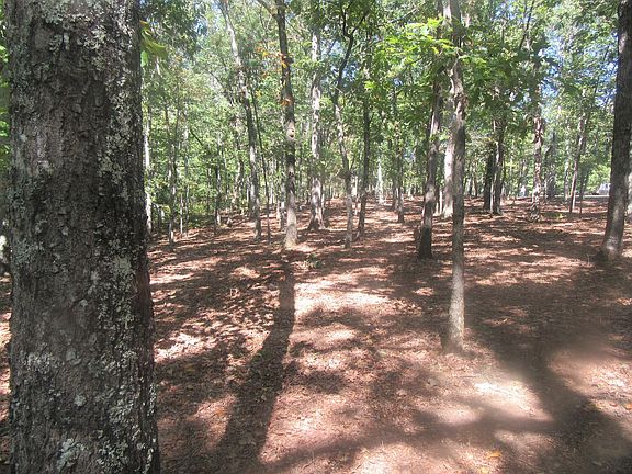 3rd image of 0 Cedar Dr #24