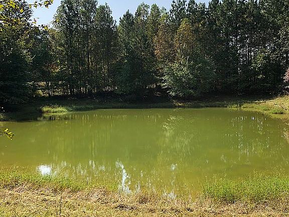 Pond