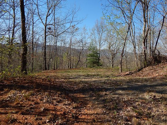 4th image of 8-2 Treetop Dr #10