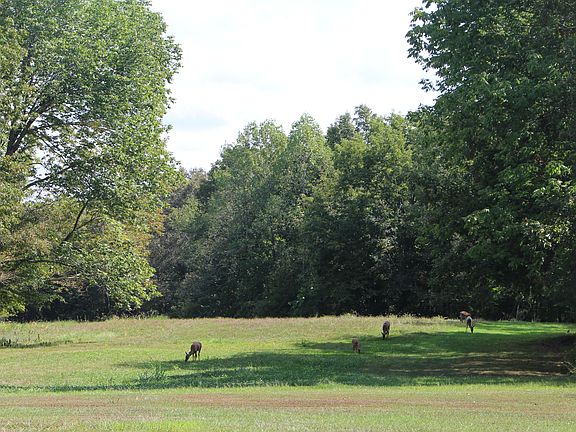 view from master bedroom 