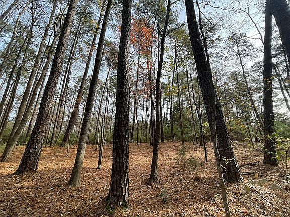 Water & Sewer at the street!