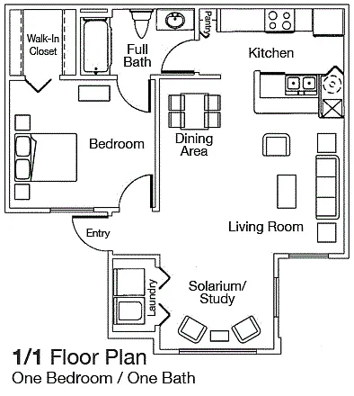 Floor plan 1 Bed - 1 Bath