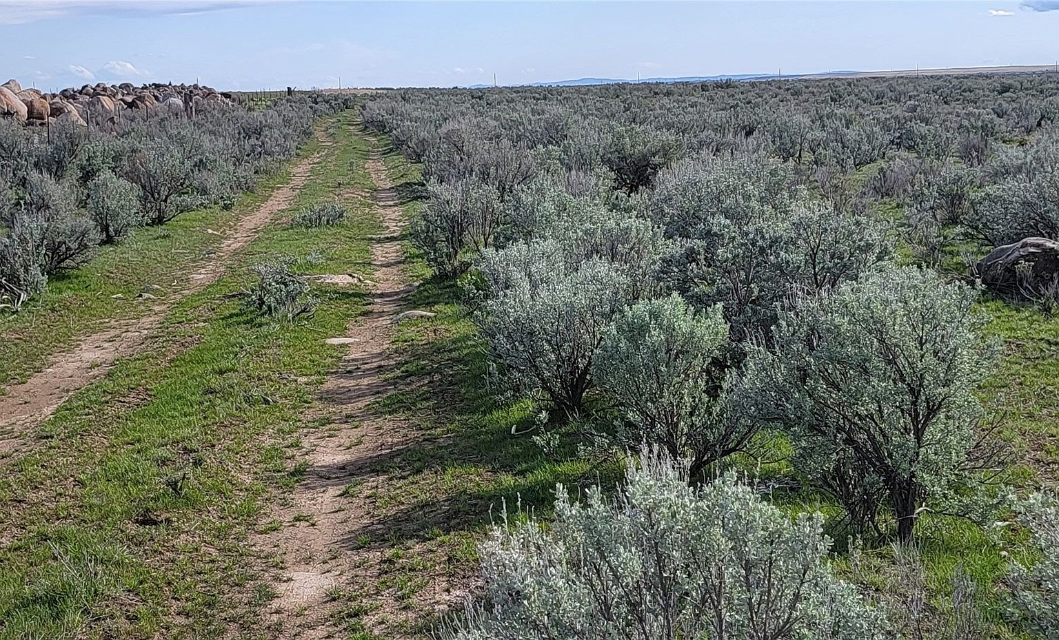 17800 Road B.5 NE, Soap Lake, WA 98851 MLS 2058232 Zillow