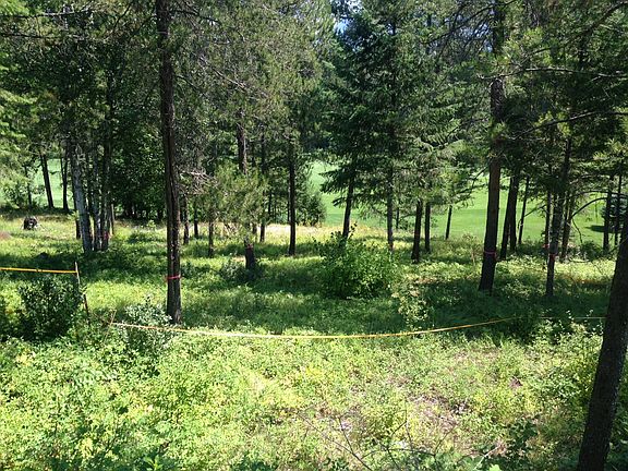 4th image of 227 Gleneagles Trl