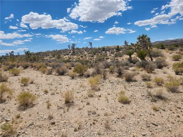 27445 N Driftwood Drive, Meadview, AZ 86444