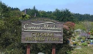 1st image of 323-343 Cypress Ave