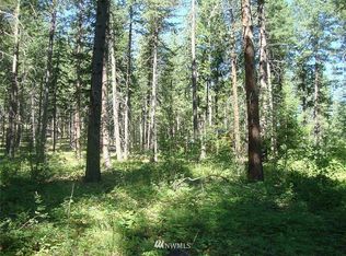 4 Ponderosa Ln, Winthrop, WA 98862