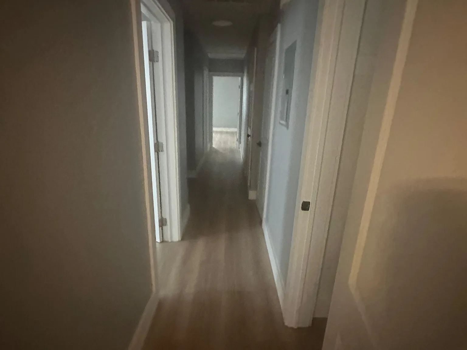 2 bed, $1,500 — Photo 3