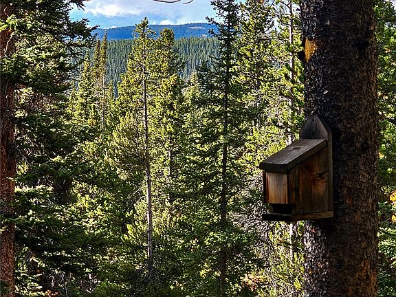 4th image of 102 Gold Trail