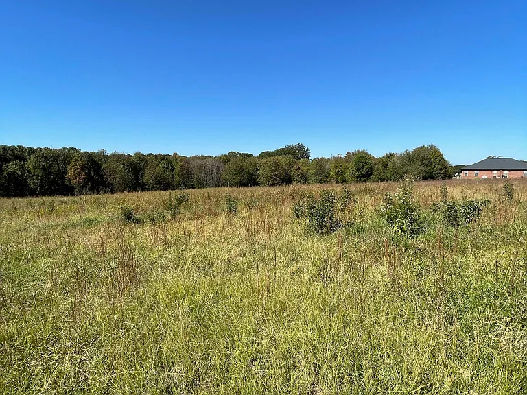 125 School Rd #A — Photo 25
