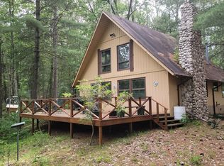 4673 S Paradise Rd, Falmouth, MI 49632