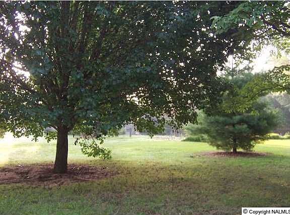 3rd image of 1091 State Highway 205