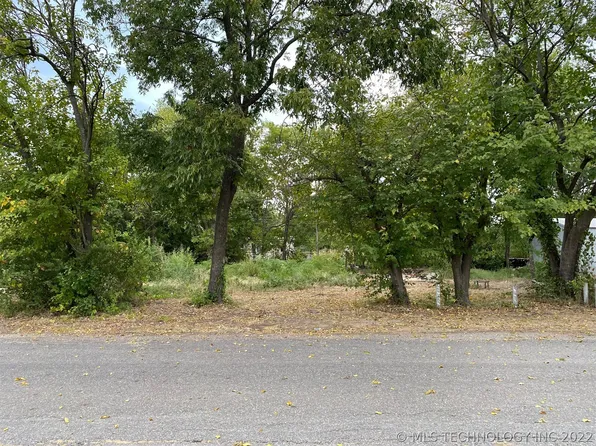 W Beech St, Achille, OK 74720