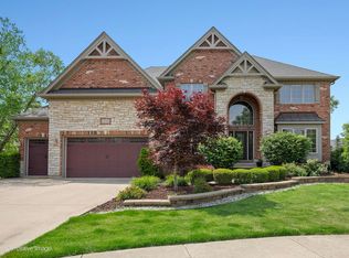 508 Gene Darfler Ct, Naperville, IL 60565