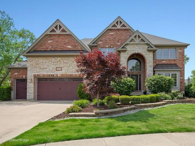 508 Gene Darfler Ct, Naperville, IL, 60565