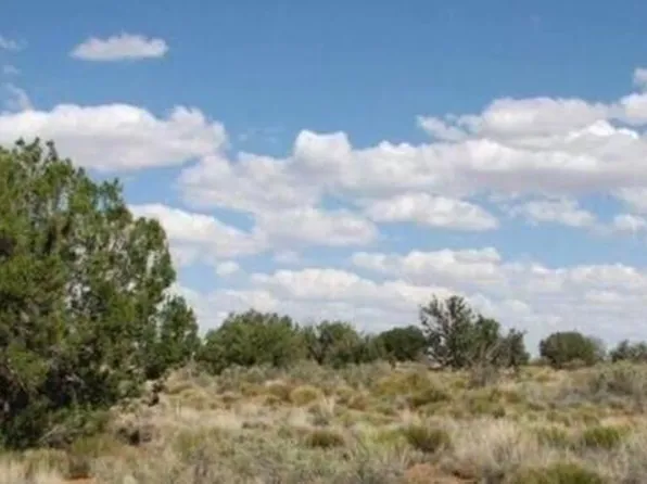 Chevelon Canyon Dr #363, Heber, AZ 85928