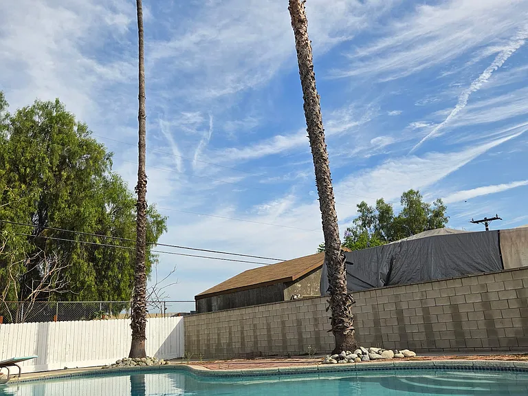 Back Pool with Palm trees