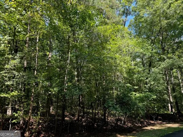 9225 Betony Wood Trl, Jonesboro, GA 30236