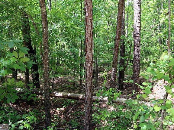 3rd image of 77 Cherokee Rd SW