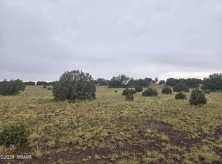 56 County Road 5073, Concho, AZ 85924