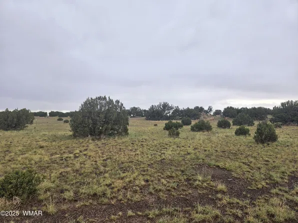 56 County Road 5073, Concho, AZ 85924