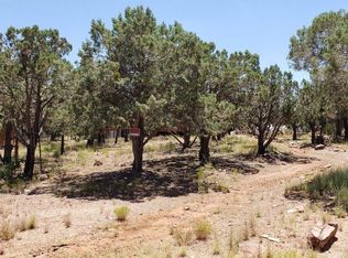 2903 W Nicklaus Dr, Payson, AZ 85541