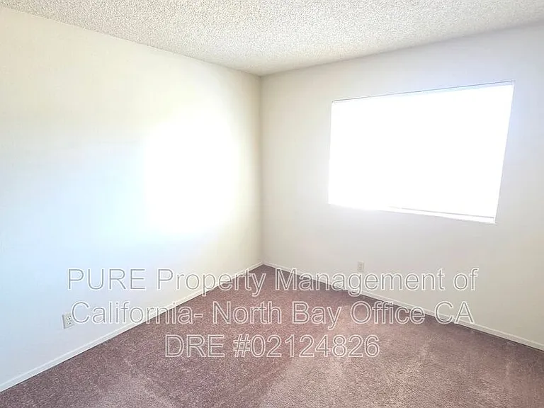 1310 Megan Pl — Photo 11