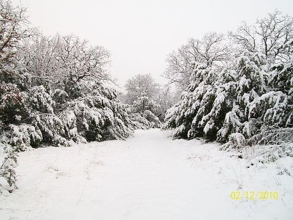 5th image of 19708 E Fm 1188