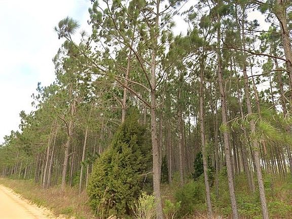 2nd image of Tower Rd