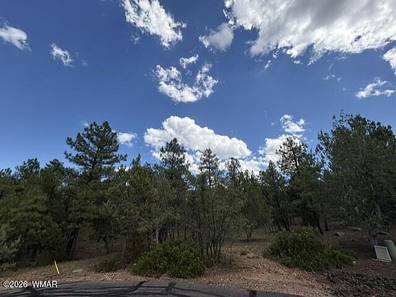 2nd image of 4501 W Birchleaf Ln