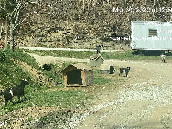 5th image of 233 Fawn Dr