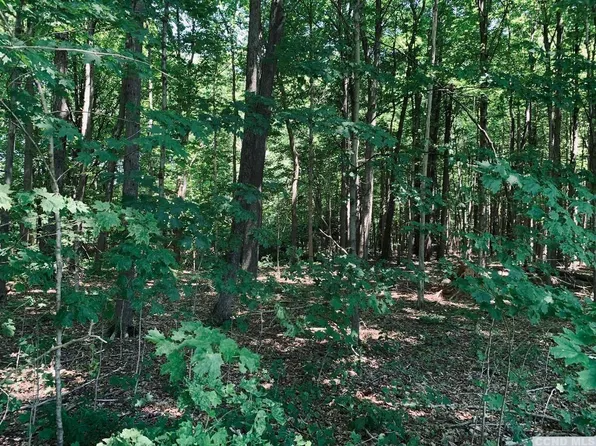 0 Pennsylvania Ave, Palenville, NY 12463