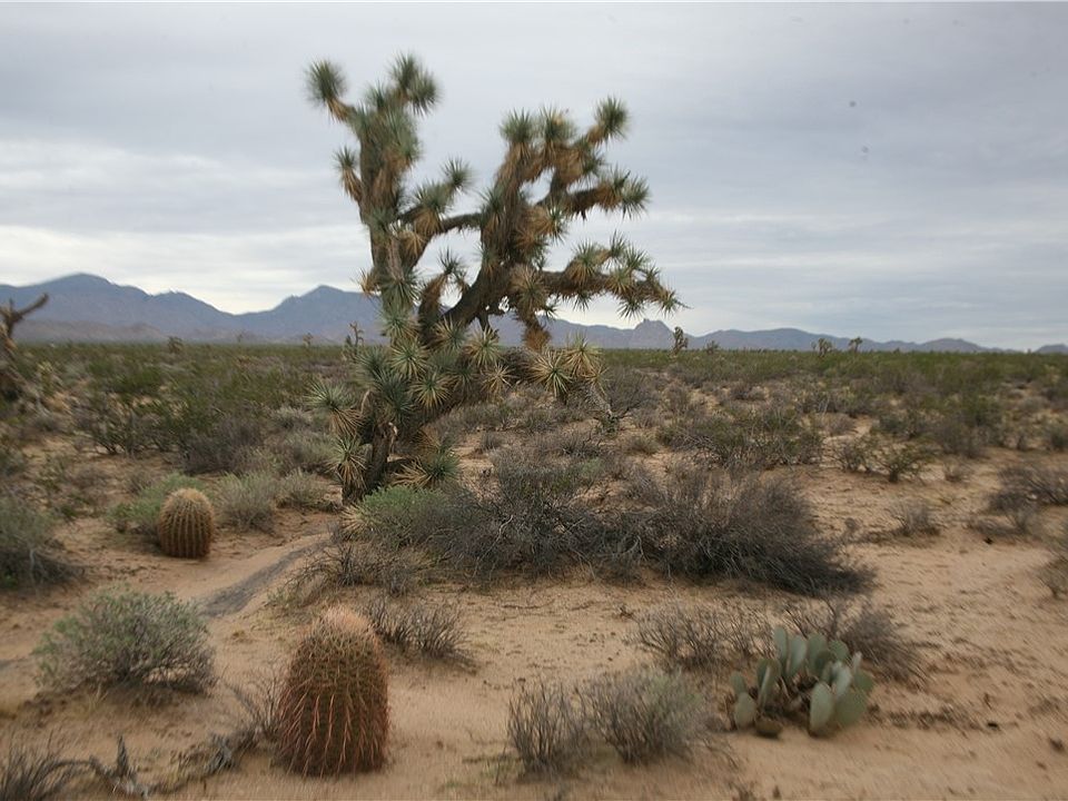 1st image of 242-33-013 Lot 612 Sundance Kid Road
