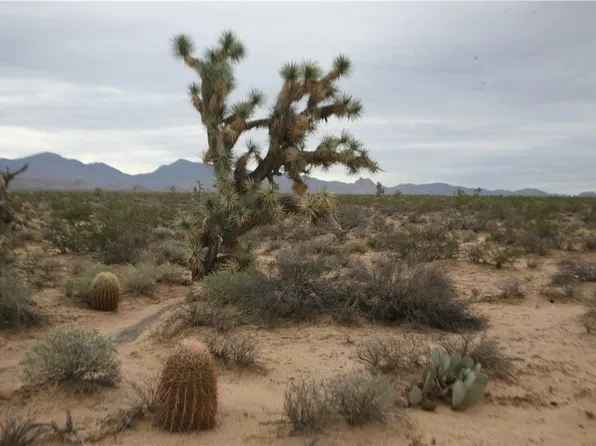 242-33-013 Lot 612 Sundance Kid Road, Yucca, AZ 86438