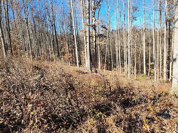2nd image of 0 Shiloh Ln Lot 10