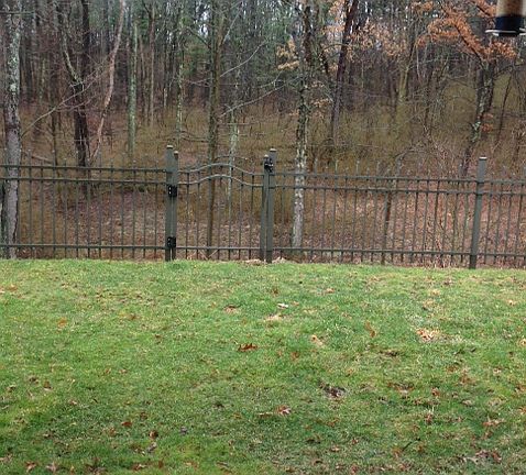 Private wooded fenced yard