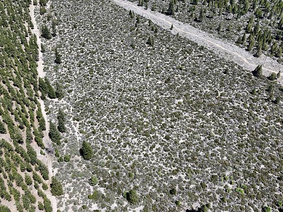 3rd image of 0 Black Butte Lookout Dr