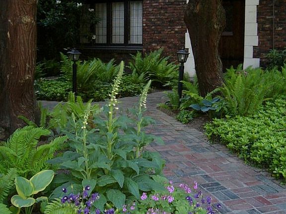 Path through courtyard