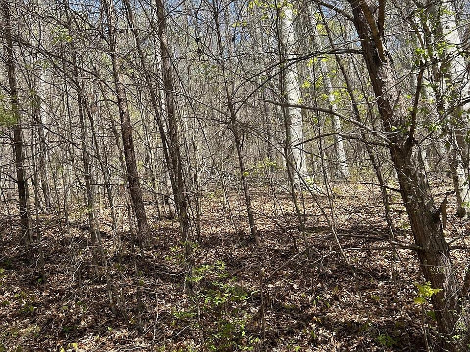 1st image of LOT 3 Jones Ridge Rd