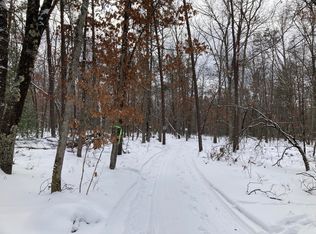 A N Benson Rd #V/L, Custer, MI 49405