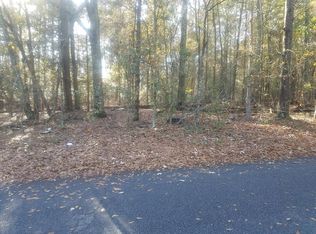 4035 Braswell Rd, Blythe, GA 30805