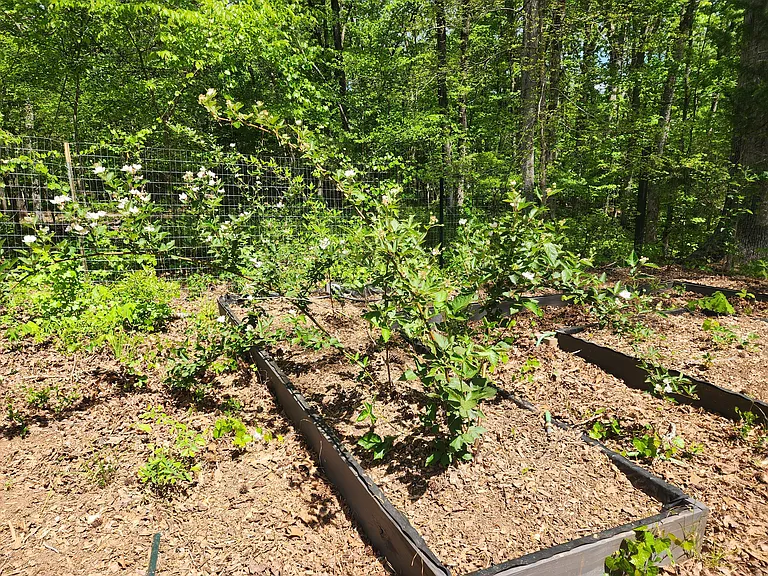 350 Mountain Brook Ct — Photo 14