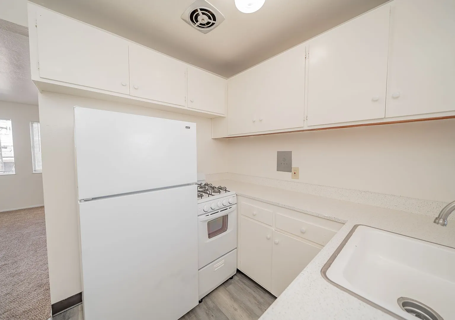 354 Vernon Street — Photo 4